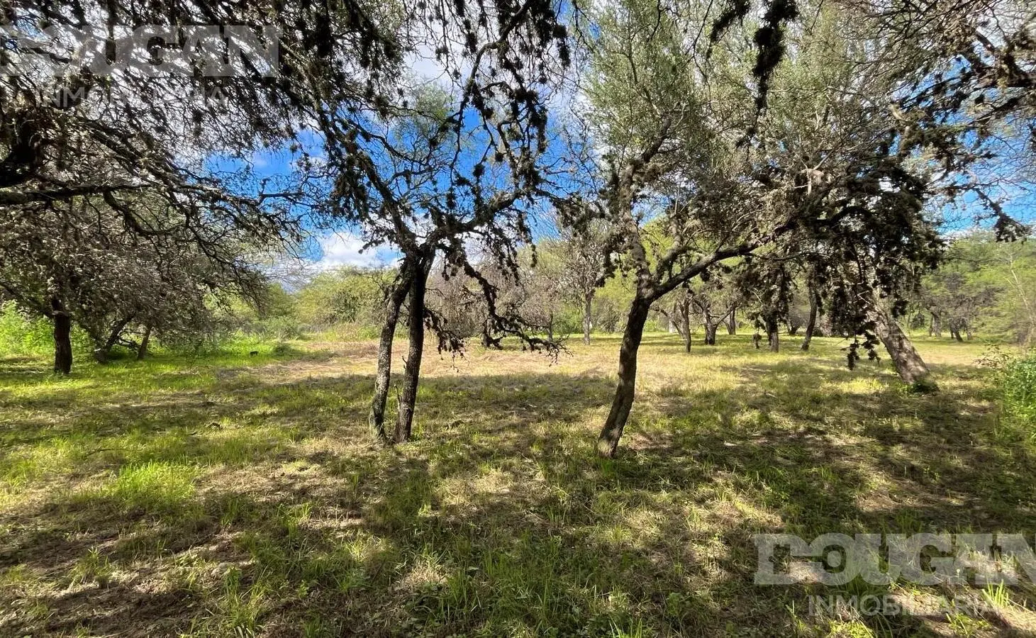 Lote a la venta en Cerro de Oro - Esquina - Merlo San Luis 5