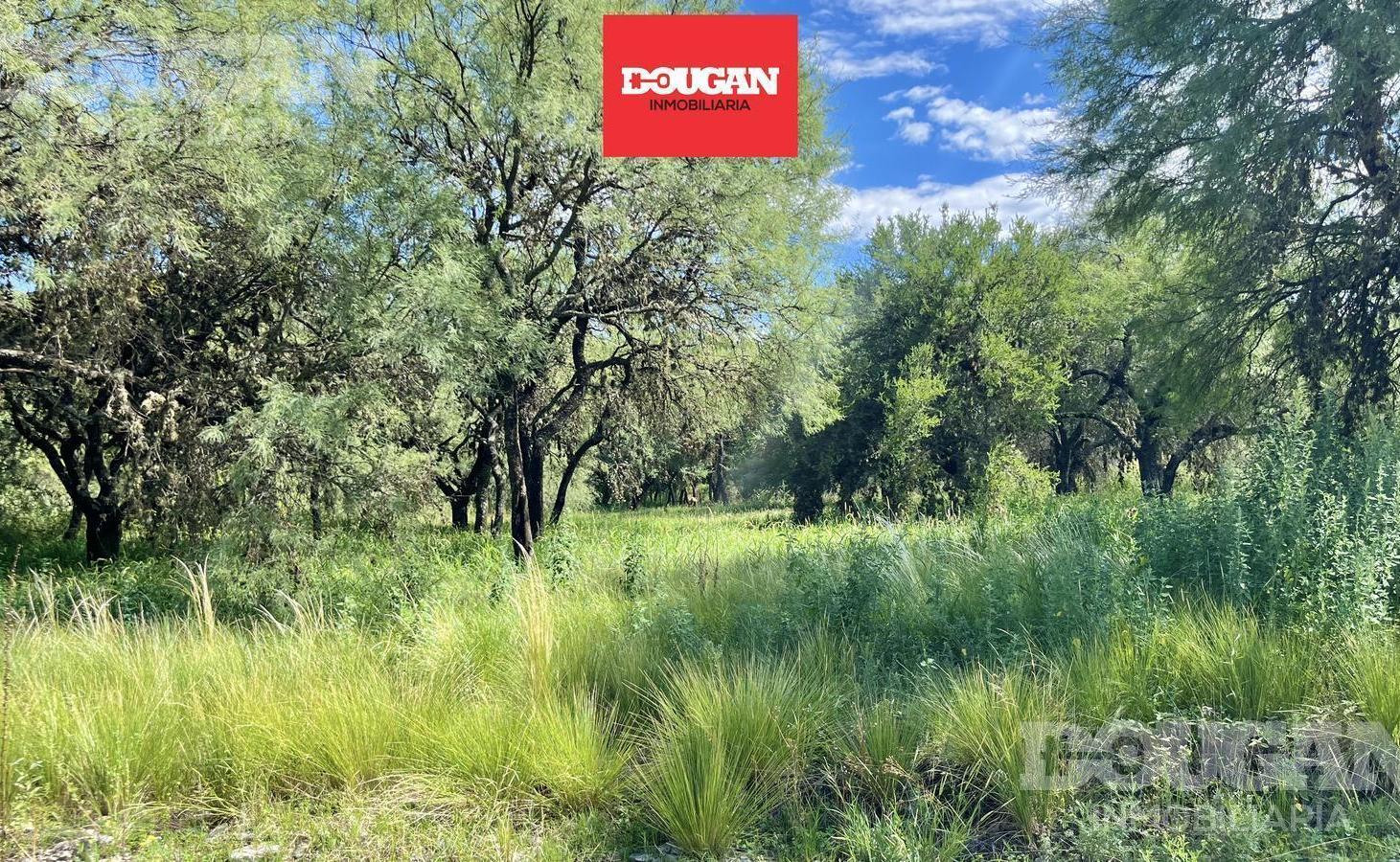 Lote a la venta en Cerro de Oro - Esquina - Merlo San Luis