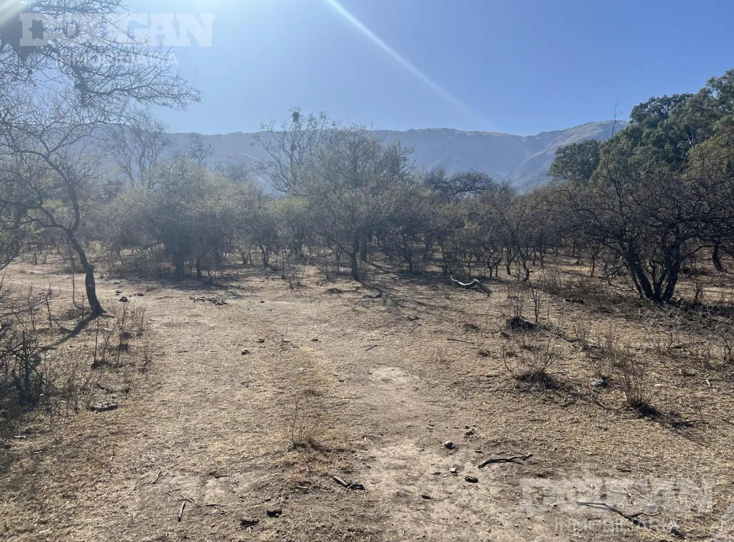 Terreno en venta 5