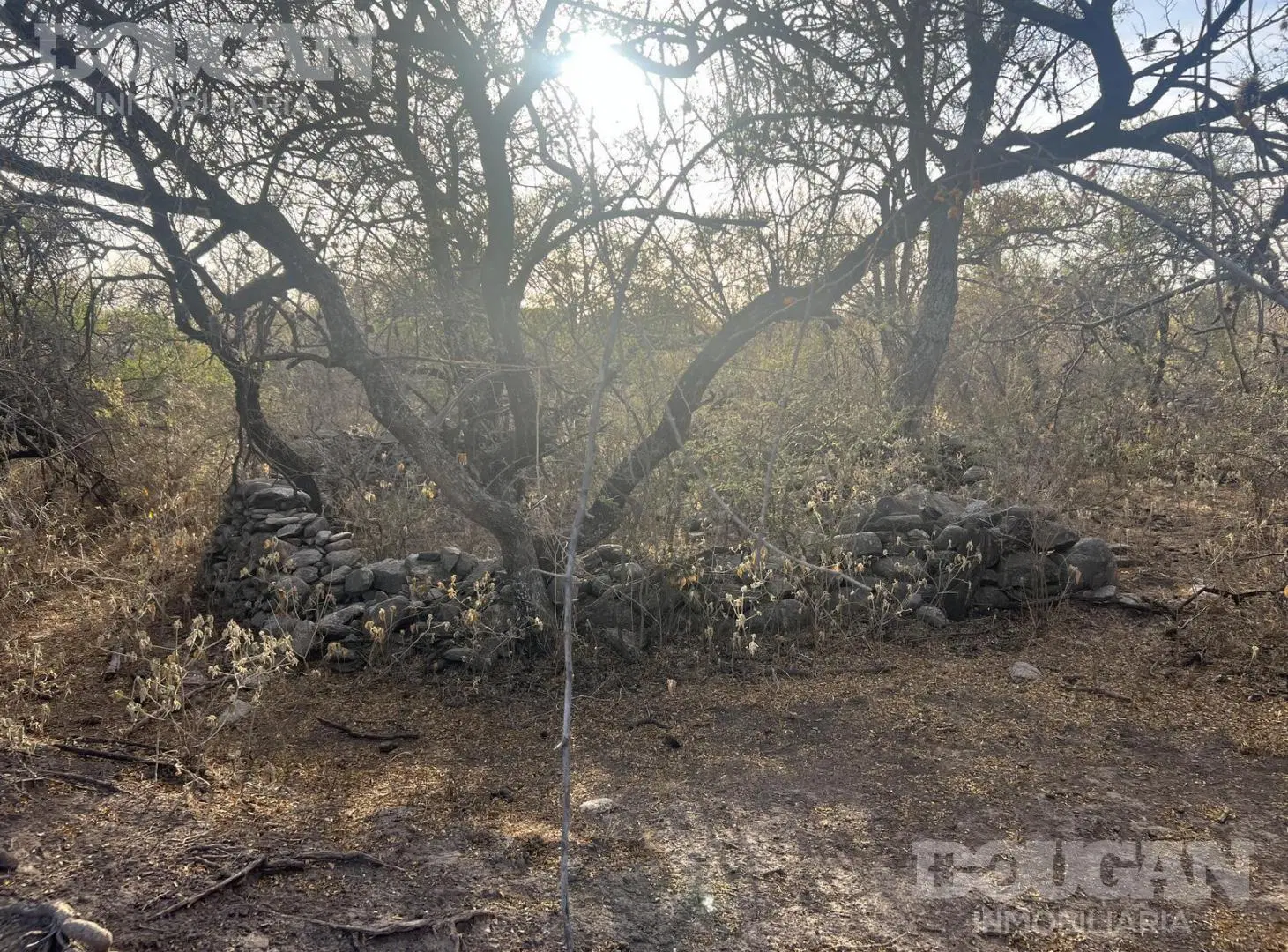 Terreno en venta 8