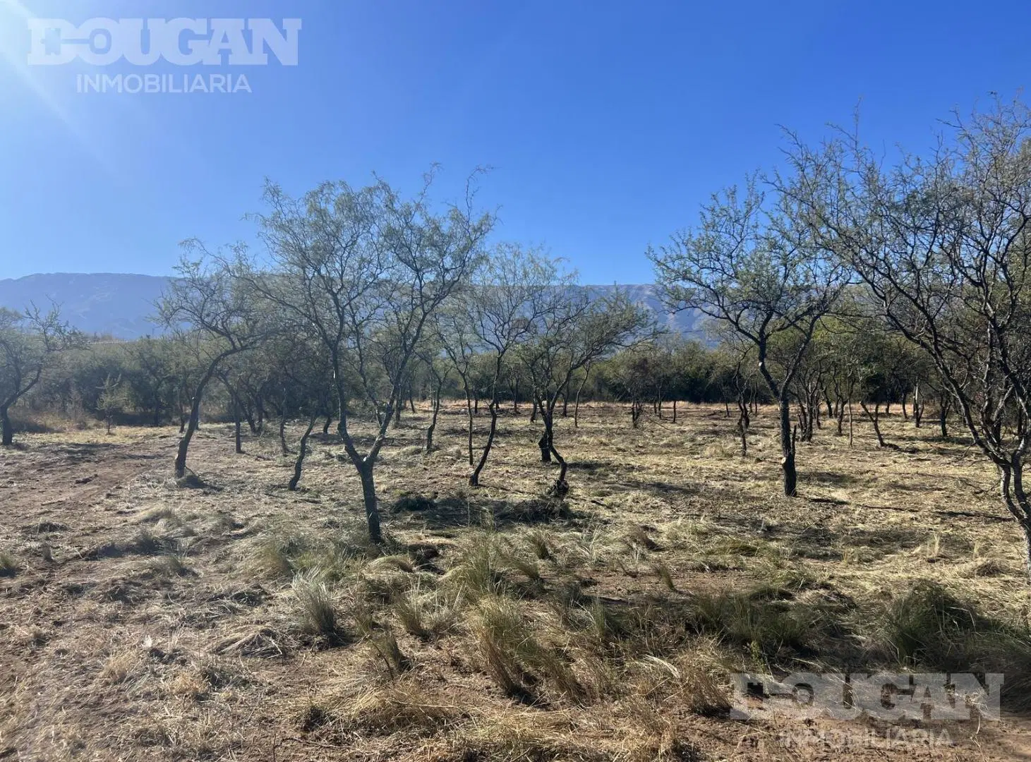 Terreno en Venta - Merlo San Luis 5