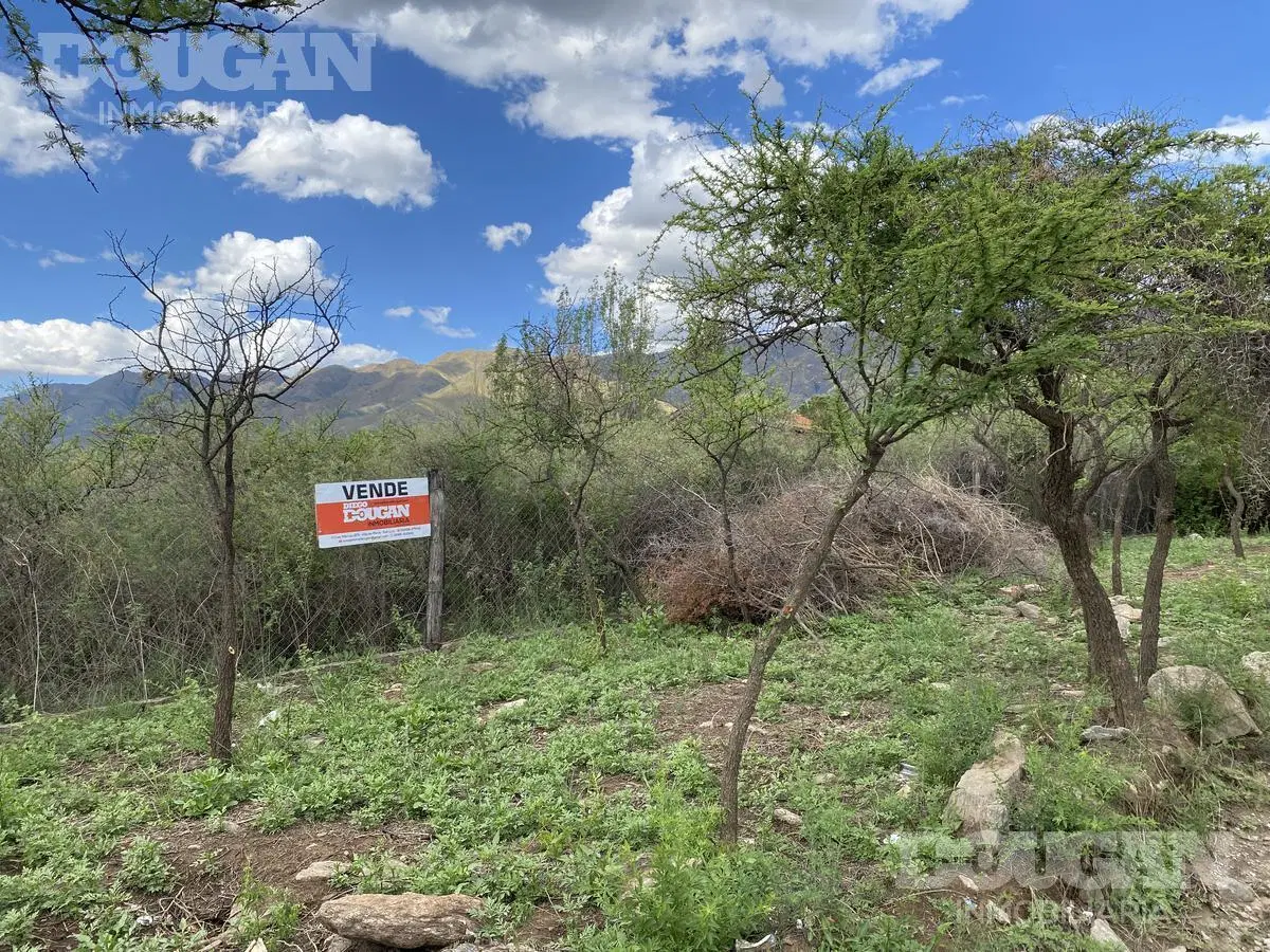 Terreno en Venta - Cerro de Oro 5
