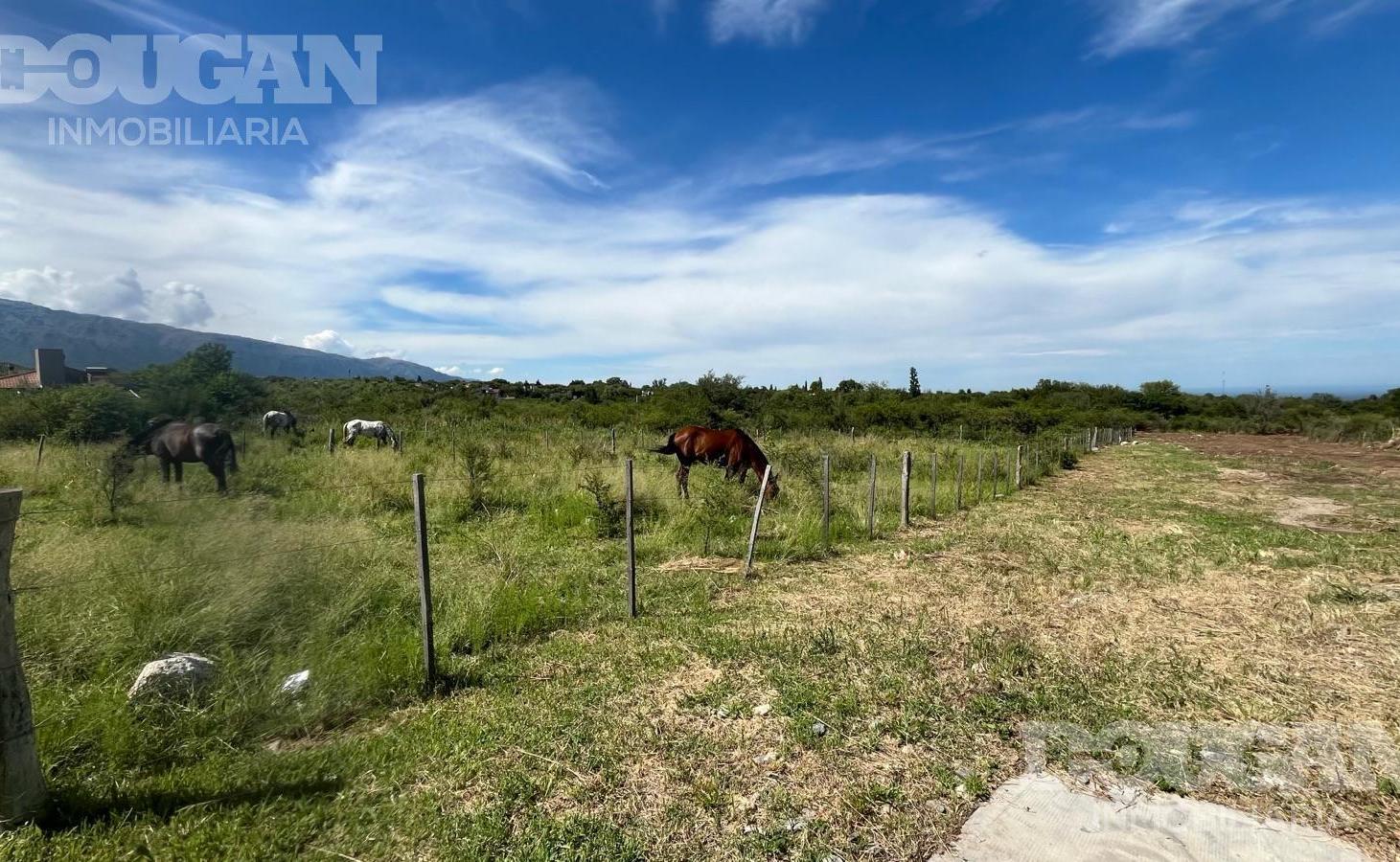 Foto de Pre-venta / Terreno en Merlo San Luis, imagen 3