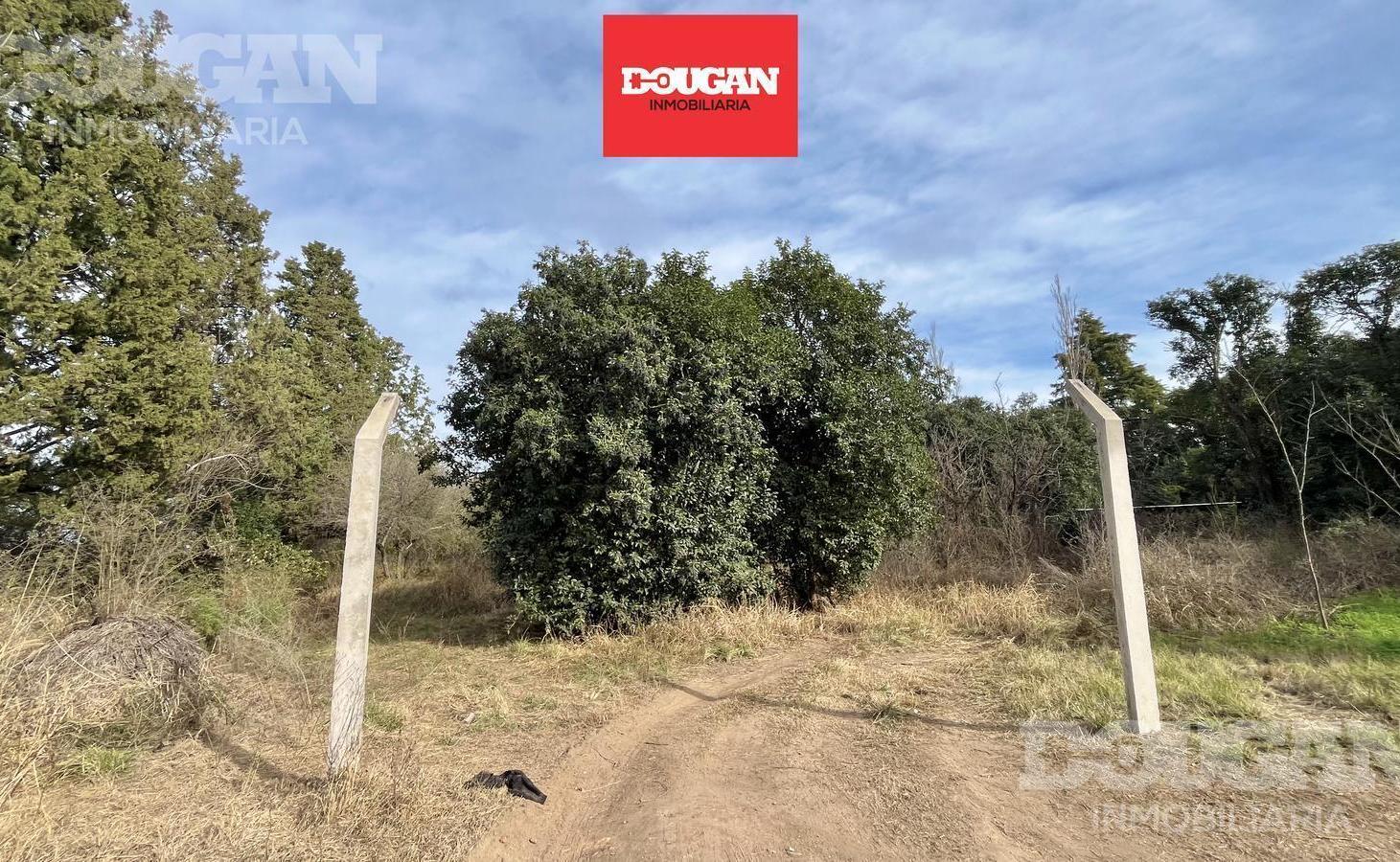 Foto de VENTA - Amplia Parcela en Piedra Blanca Abajo - Merlo San Luis, imagen 3
