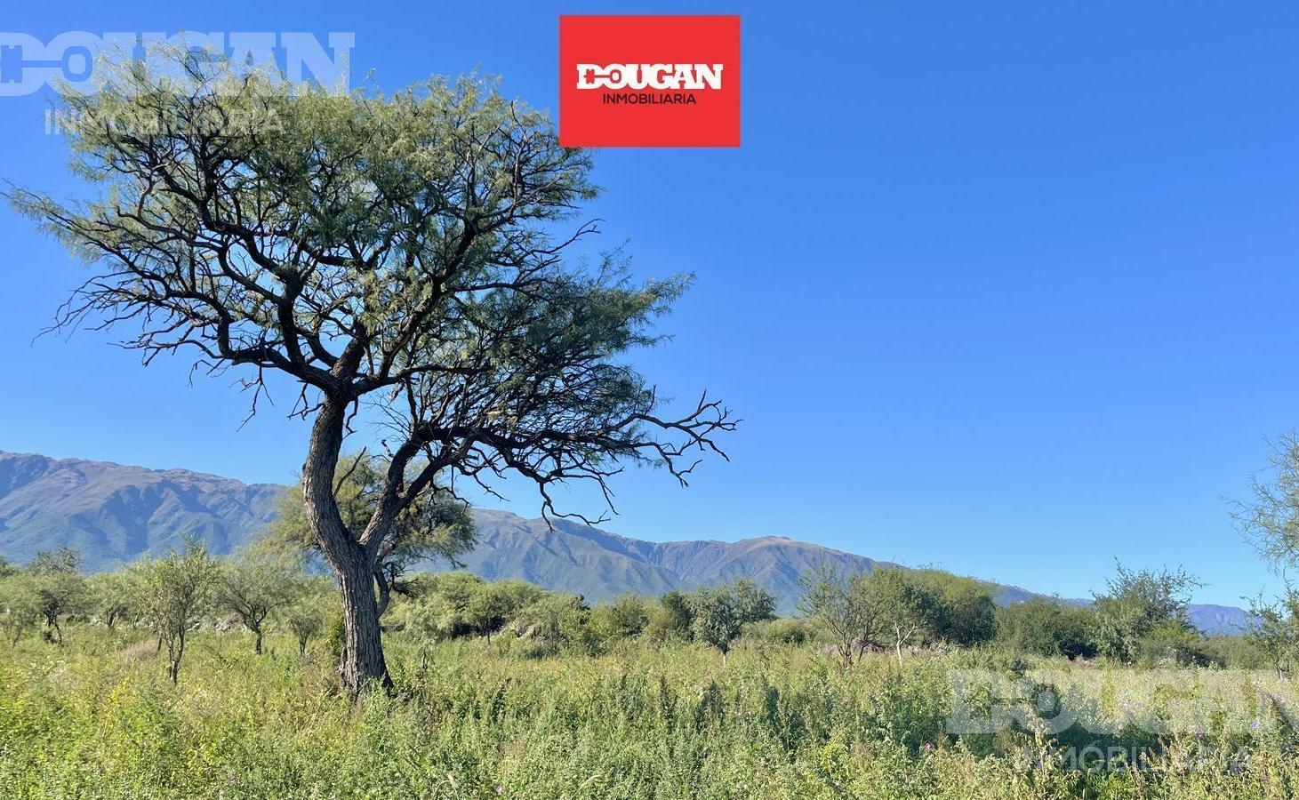 Foto de Lotes de 1600 m2 - La Aurelia (Lindero a Udacha) - Carpinteria San Luis, imagen 1
