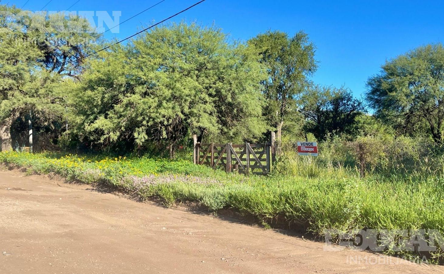 Foto de Lote de 2000 m2 a la Venta - Carpintería San Luis, imagen 4