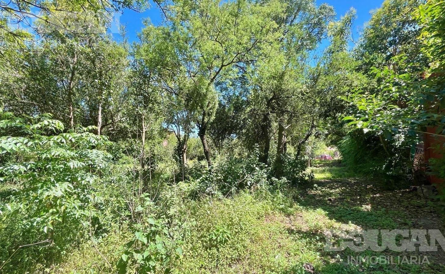 Foto de LOTE SOBRE RUTA 5 - RINCON DEL ESTE / MERLO SAN LUIS, imagen 5