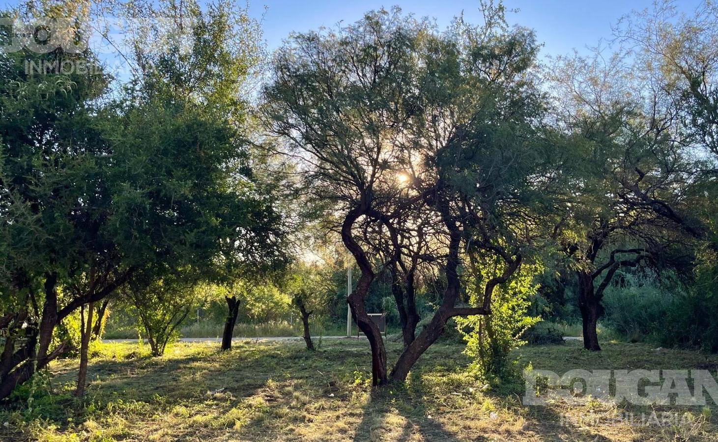 Foto de Terreno a la venta en Merlo San Luis, imagen 4