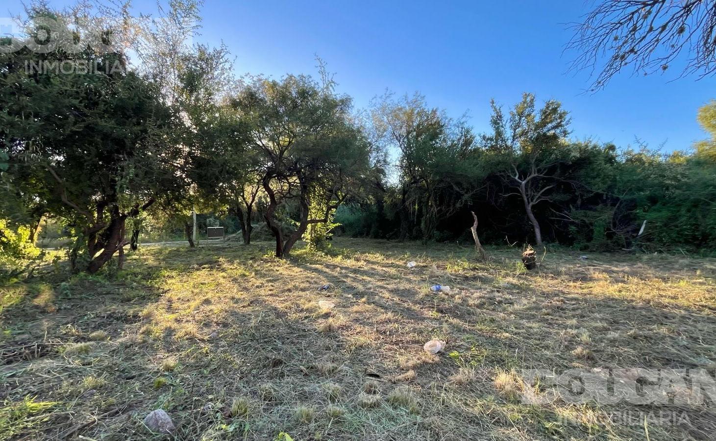 Foto de Terreno a la venta en Merlo San Luis, imagen 3