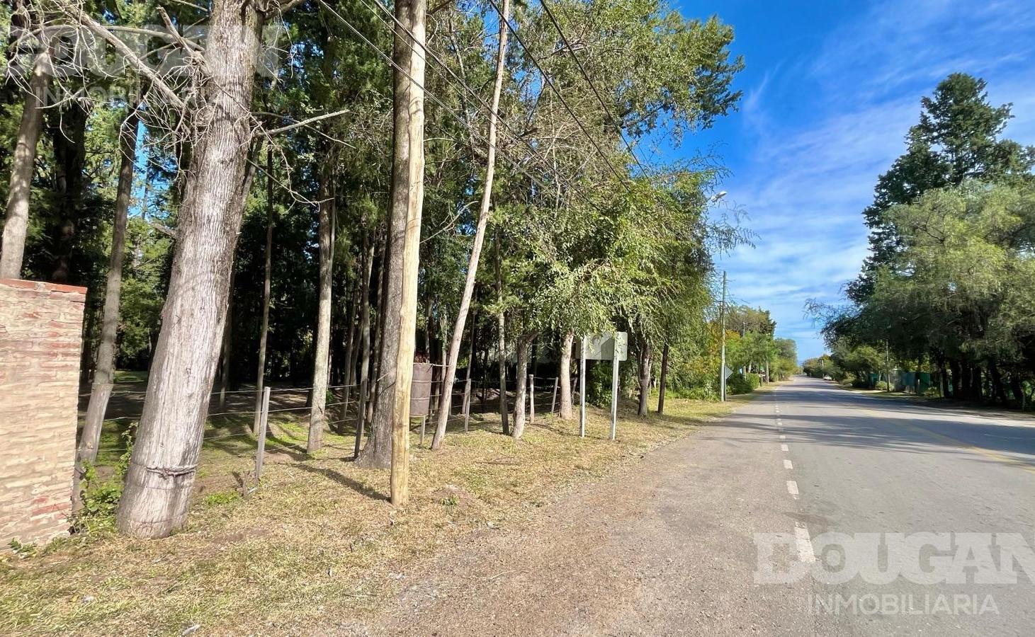 Foto de Amplio terreno en ubicación estratégica - Piedra Blanca - Merlo San Luis, imagen 3