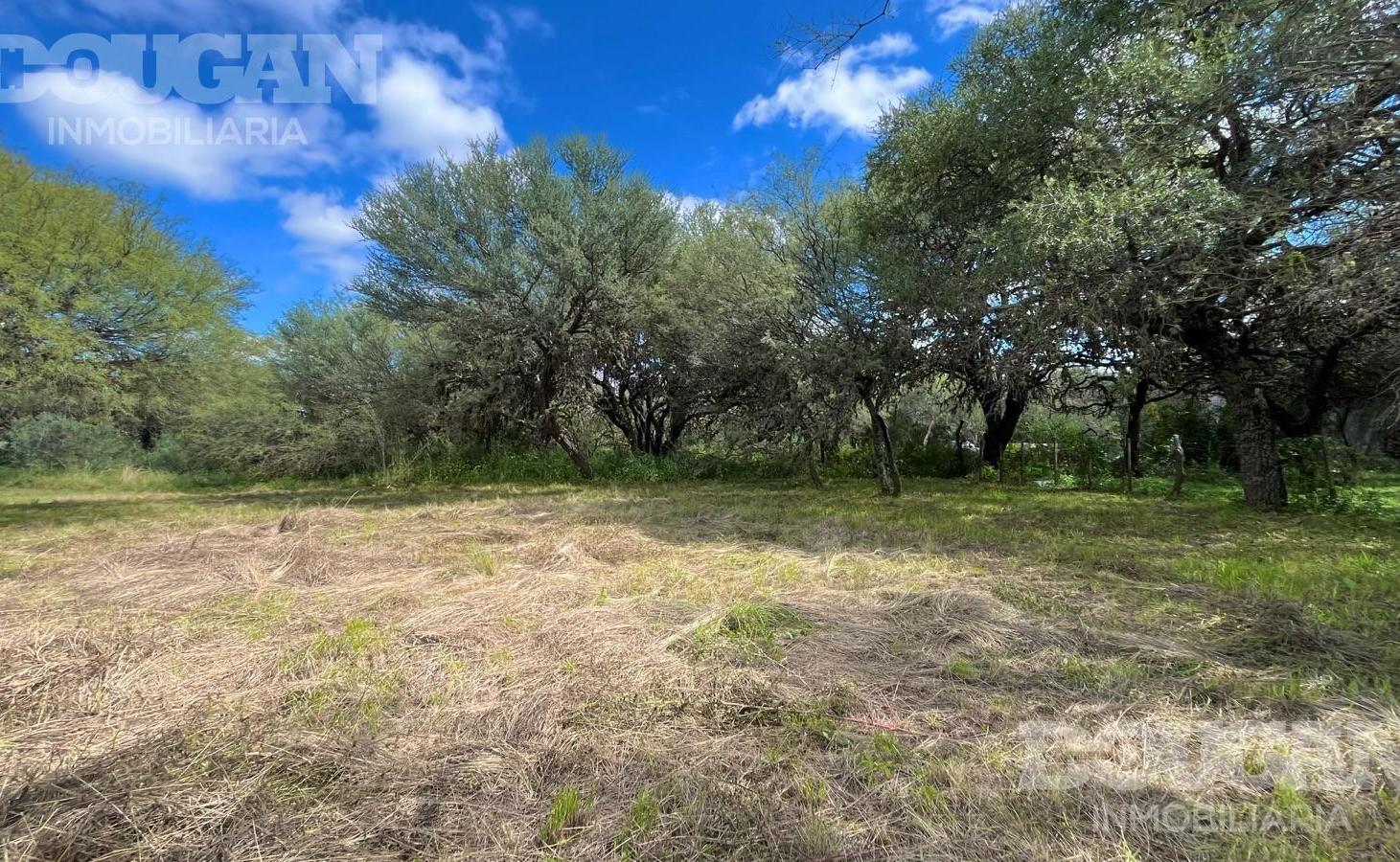 Foto de Lote a la venta en Cerro de Oro - Esquina - Merlo San Luis, imagen 5
