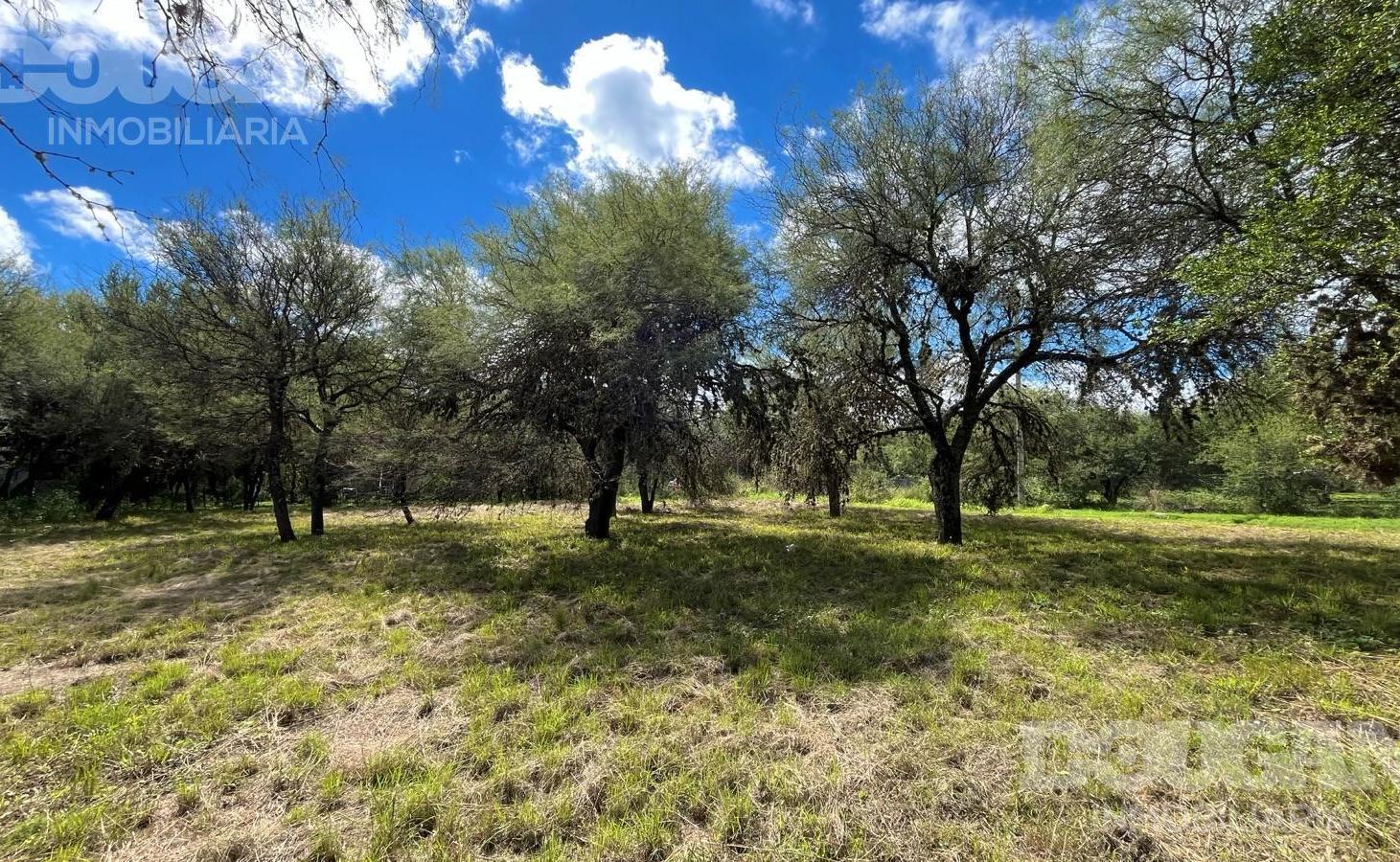 Foto de Lote a la venta en Cerro de Oro - Esquina - Merlo San Luis, imagen 3