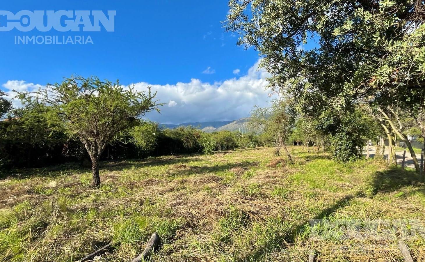 Foto de Terreno en Carpinteria - Salida a 3 Calles, imagen 2