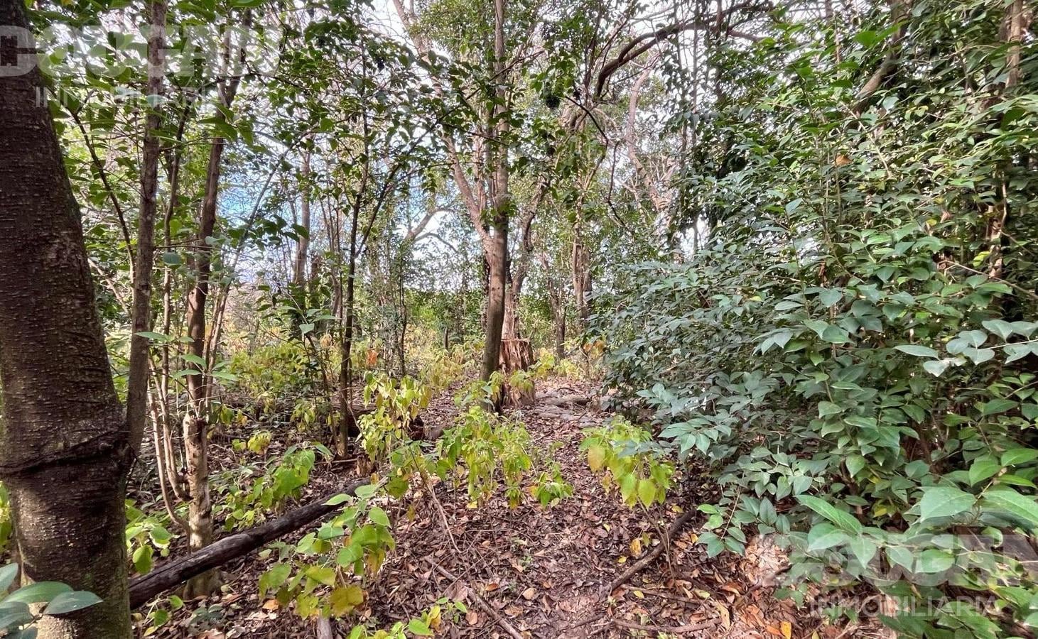 Foto de VENTA - Amplia Parcela en Piedra Blanca Abajo - Merlo San Luis, imagen 4