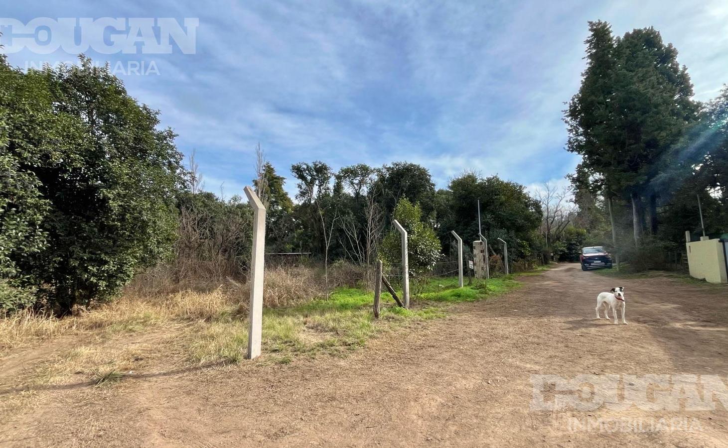 Foto de VENTA - Amplia Parcela en Piedra Blanca Abajo - Merlo San Luis, imagen 3