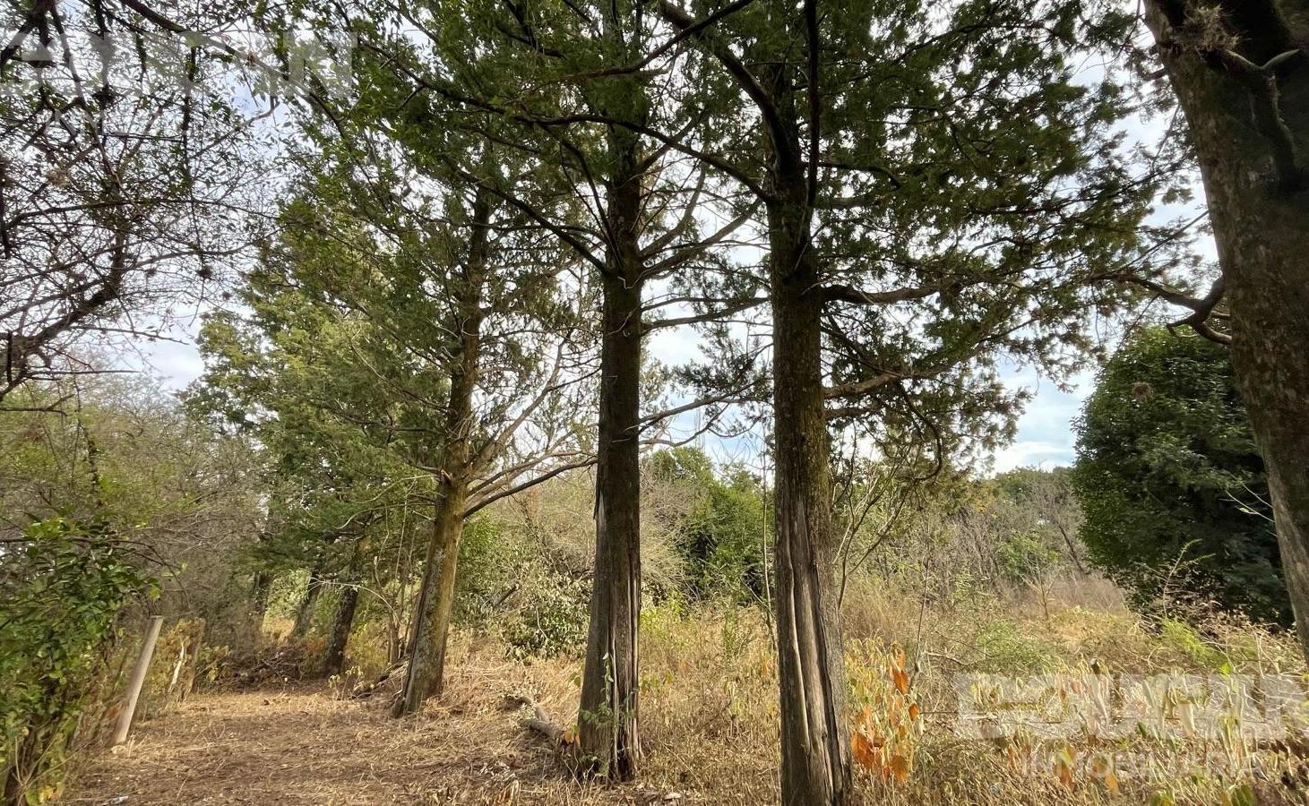 Foto de VENTA - Amplia Parcela en Piedra Blanca Abajo - Merlo San Luis, imagen 2