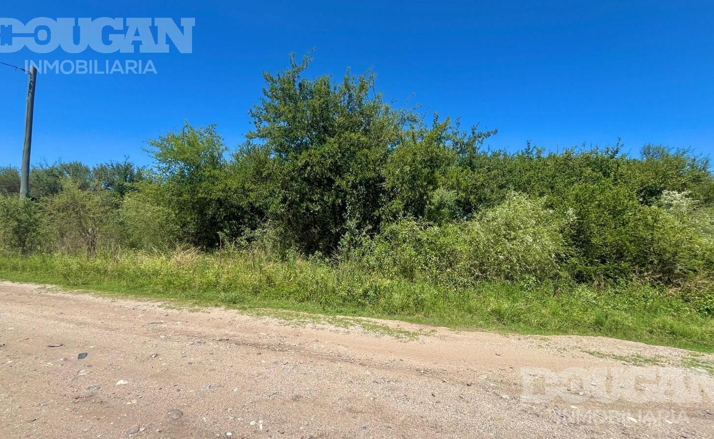 Foto de Terreno a la venta en Solares - Merlo San Luis, imagen 4