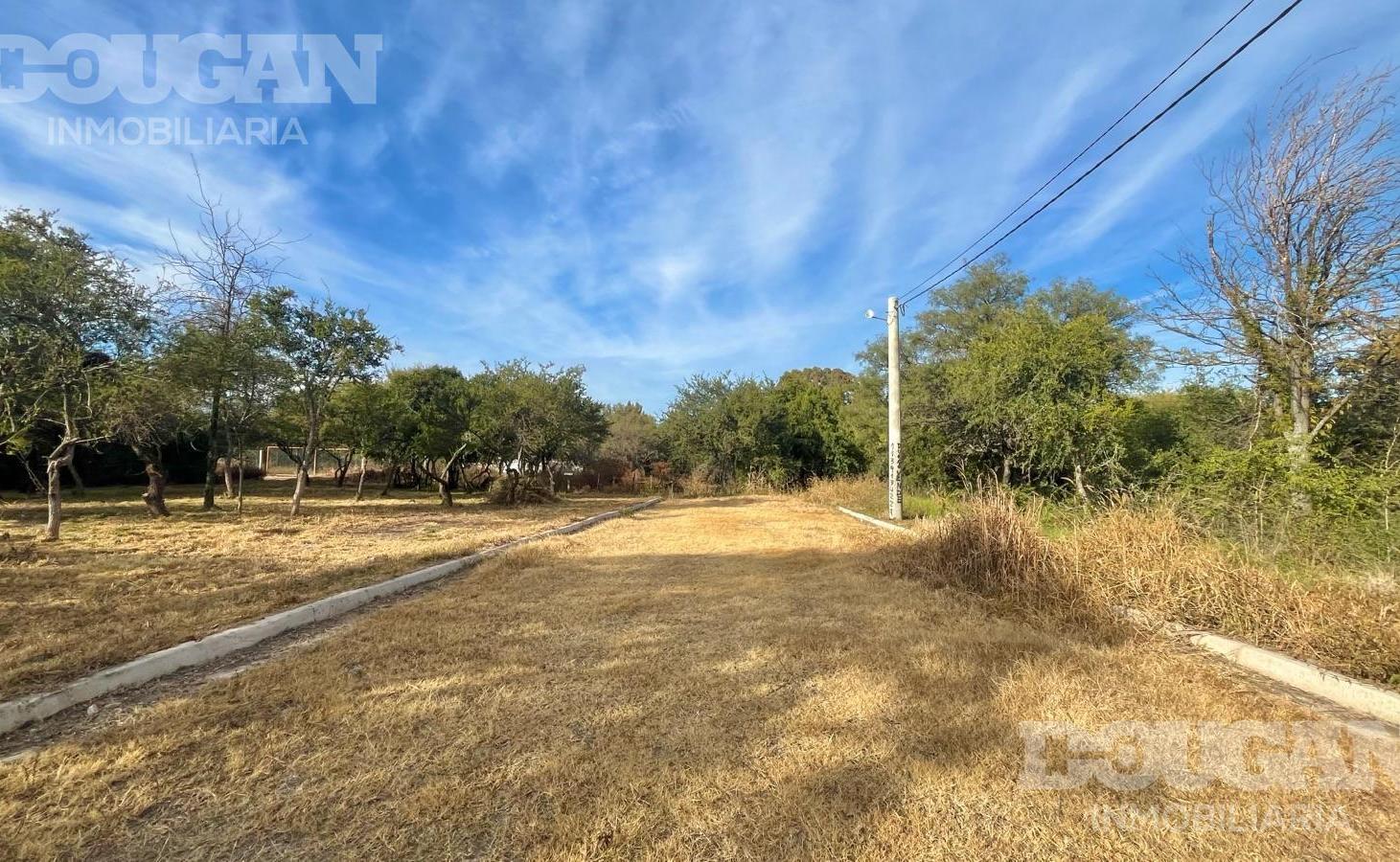 Foto de VENTA - LOTE COMERCIAL - MERLO SAN LUIS, imagen 5