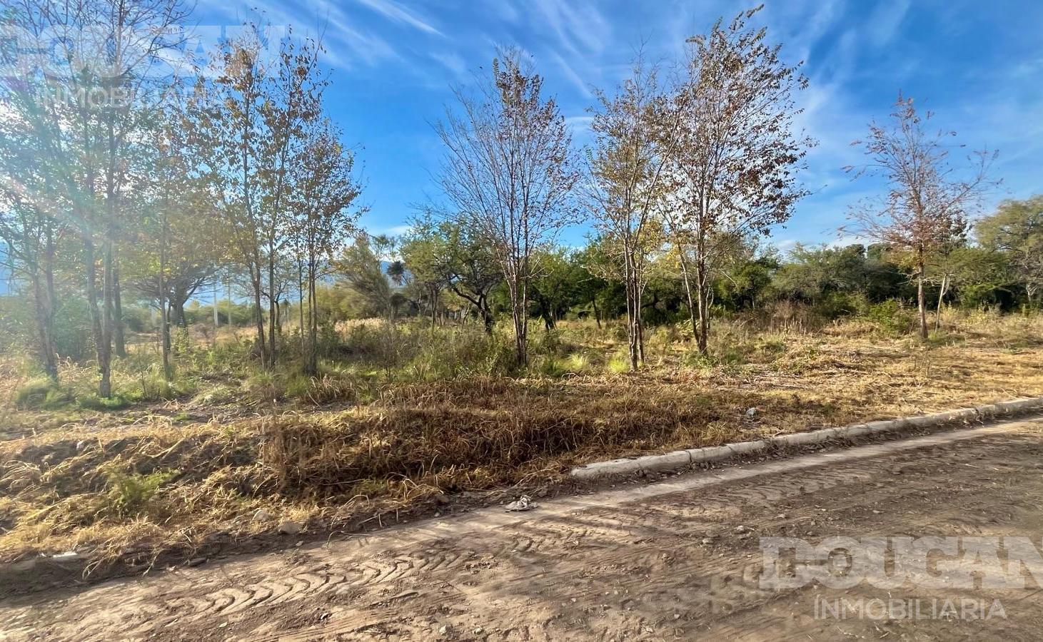 Foto de VENTA - LOTE COMERCIAL - MERLO SAN LUIS, imagen 3