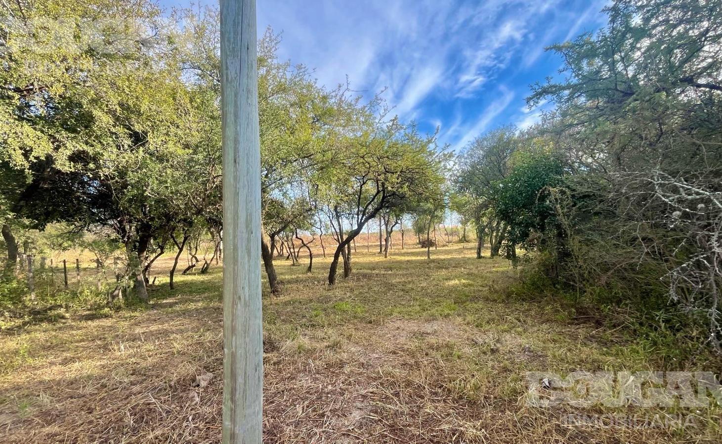 Foto de VENTA - LOTE COMERCIAL - MERLO SAN LUIS, imagen 4