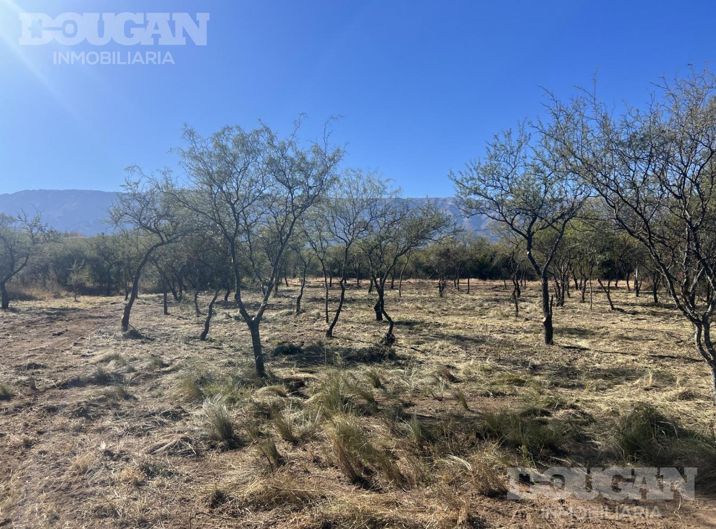 Foto de Terreno en Venta - Merlo San Luis, imagen 2