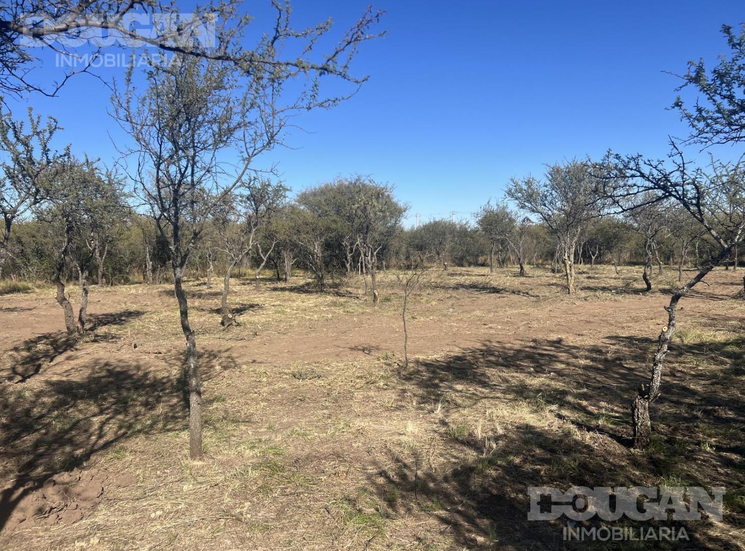 Foto de Terreno en Venta - Merlo San Luis, imagen 4