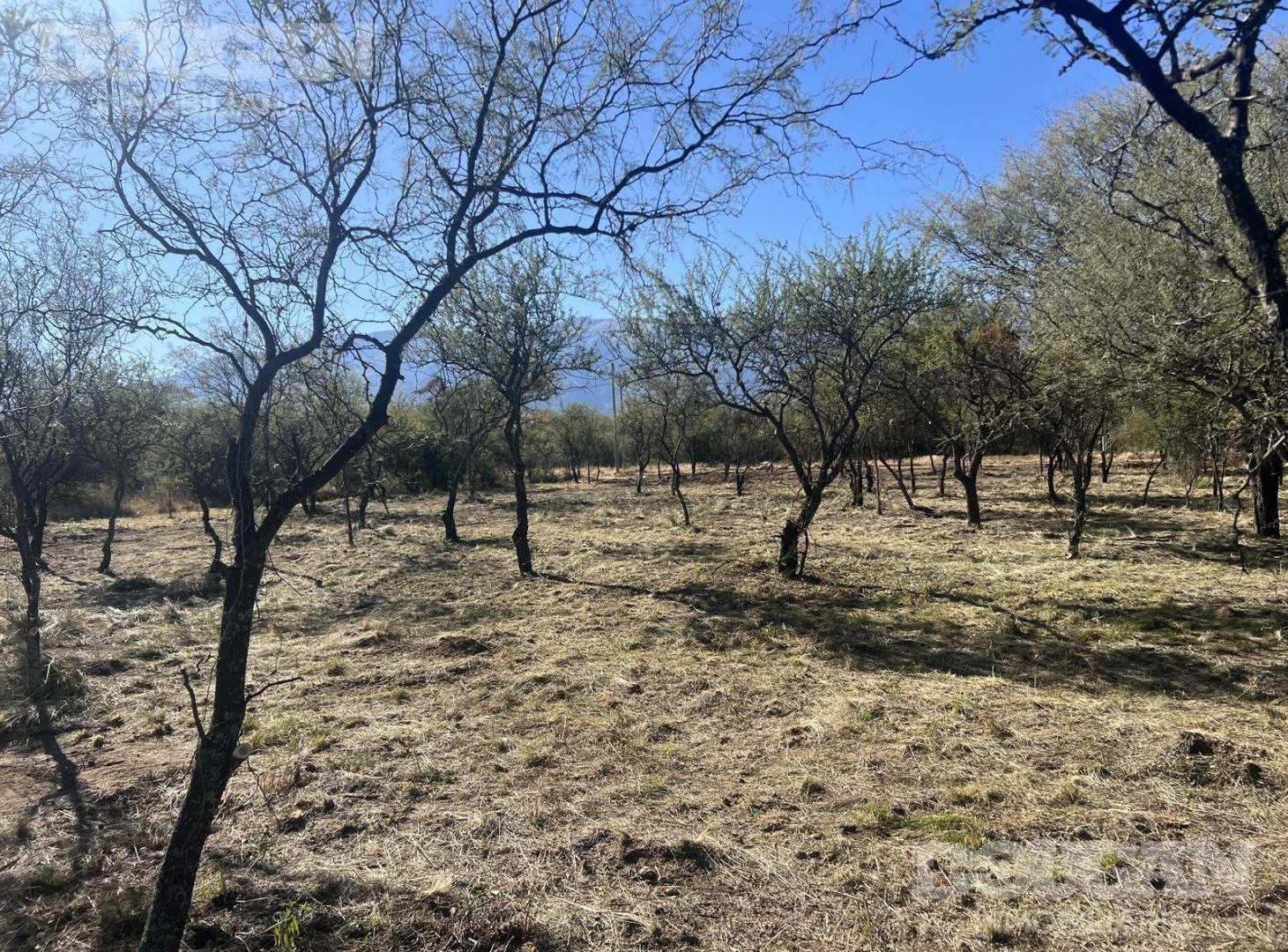 Foto de Terreno en Venta - Merlo San Luis, imagen 3