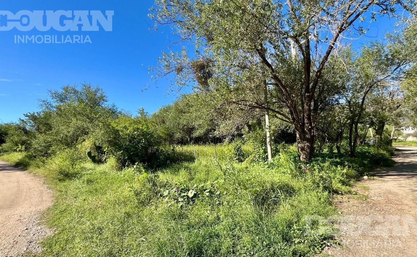 Foto de Terreno Esquina a la Venta en Barranca Colorada, imagen 5
