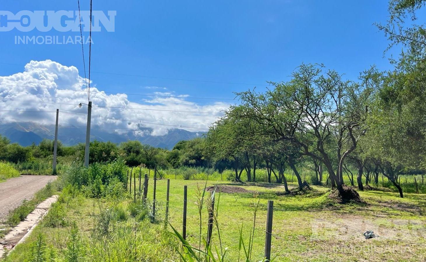 Foto de Lote comercial en venta - Merlo San Luis, imagen 5