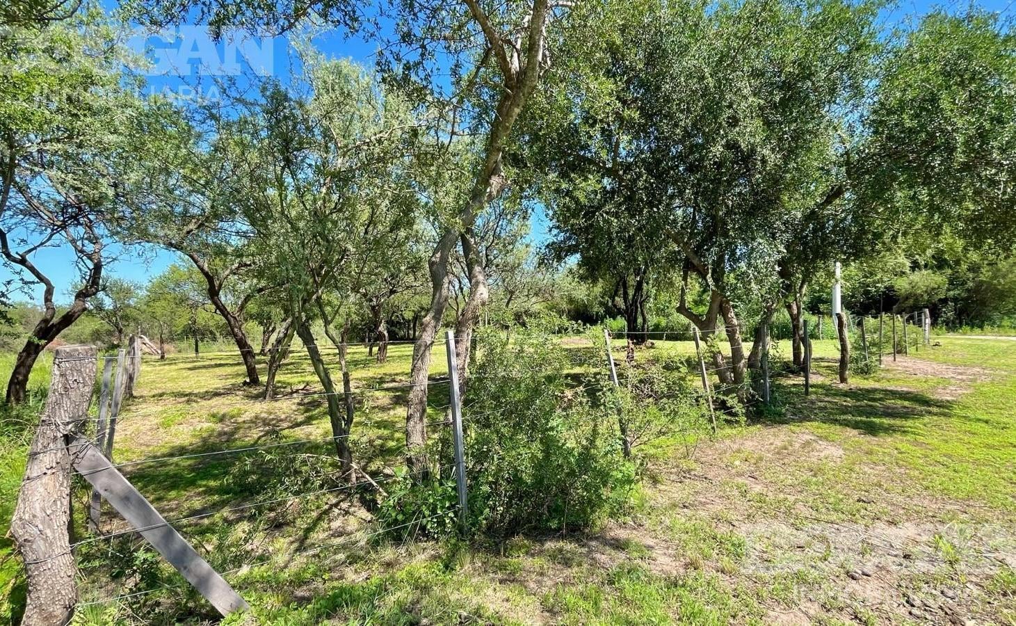 Foto de Lote comercial en venta - Merlo San Luis, imagen 3