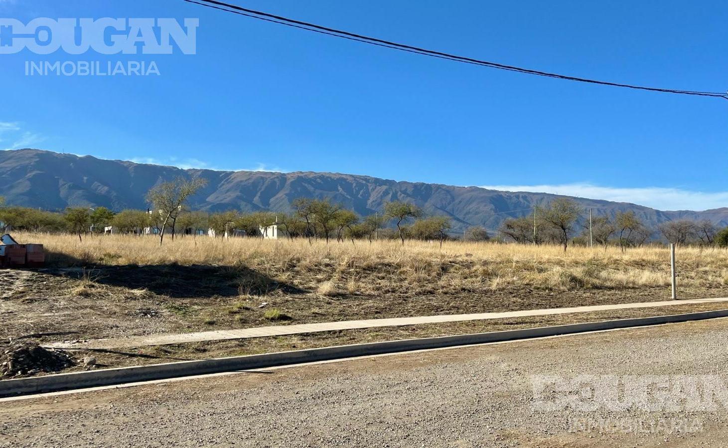 Foto de VENTA - LOTE EN LA ARBOLADA, imagen 4