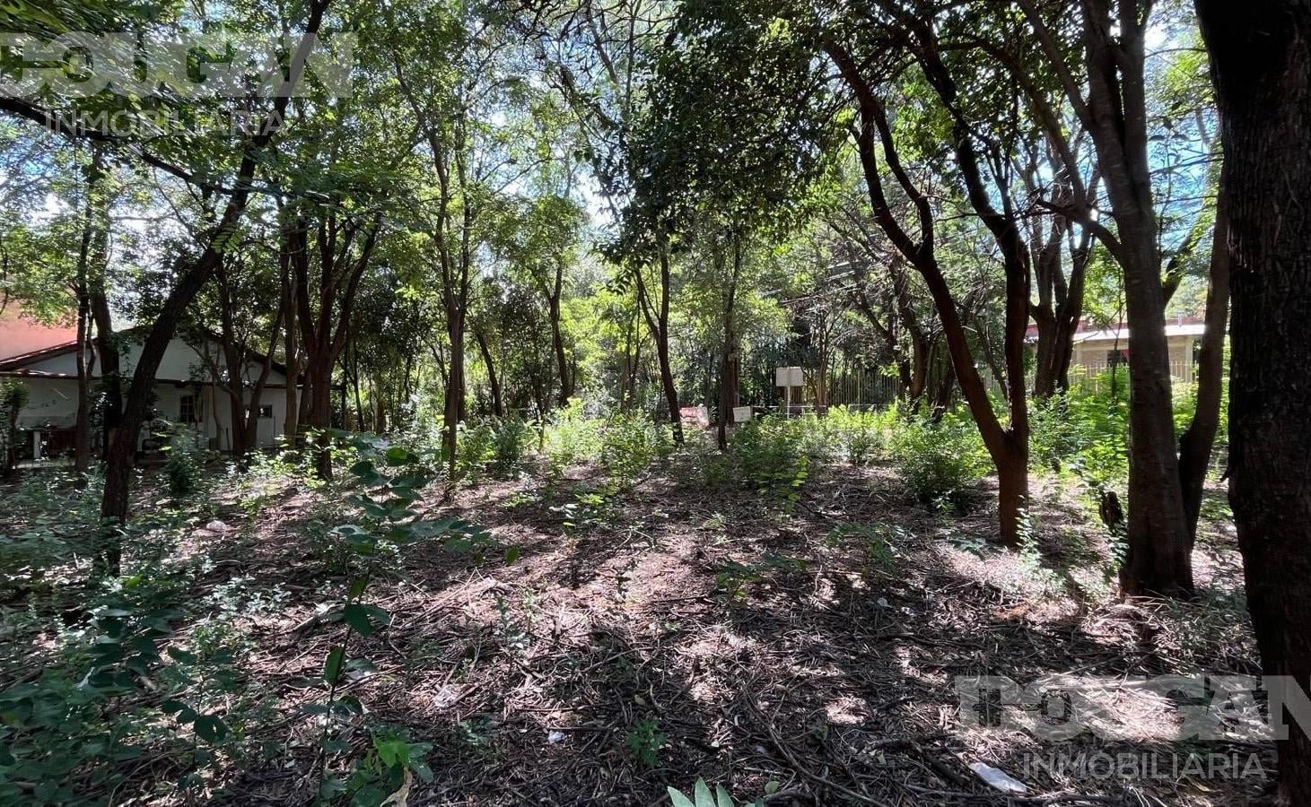 Foto de Terreno en Venta - Rincón Del Este, imagen 5
