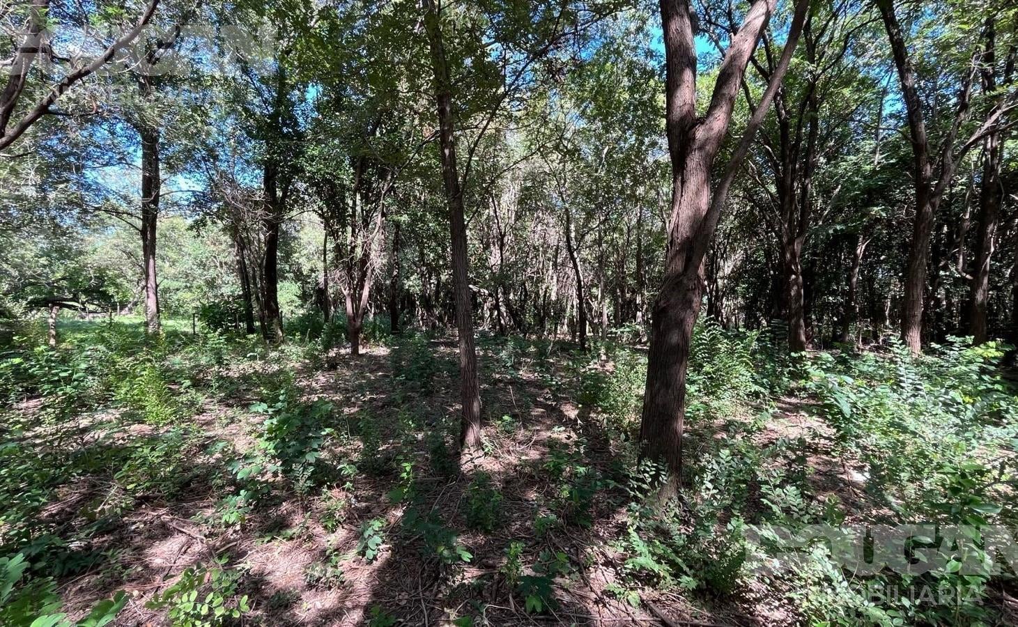 Foto de Terreno en Venta - Rincón Del Este, imagen 3