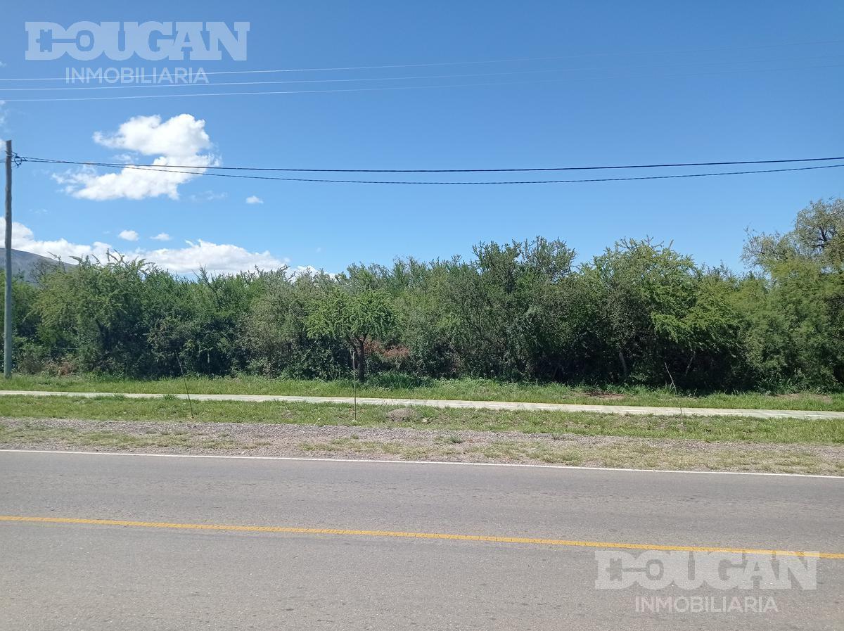 Foto de Terreno a la Venta - Carpinteria, imagen 4