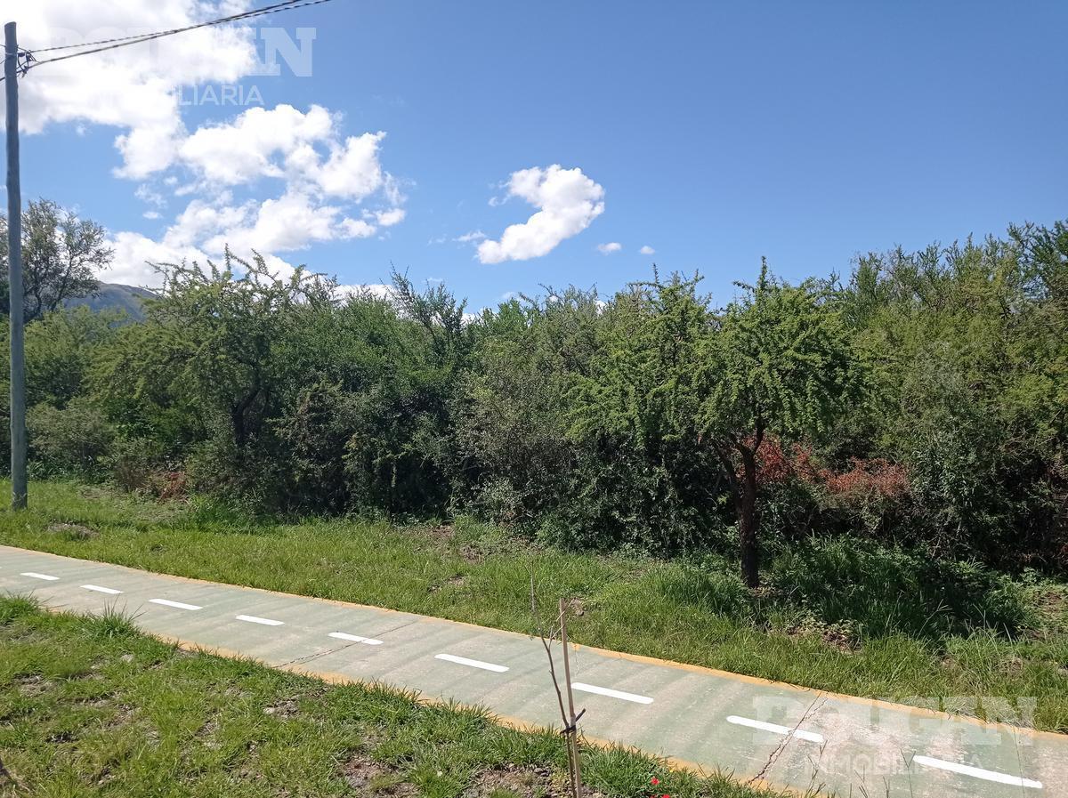 Foto de Terreno a la Venta - Carpinteria, imagen 5