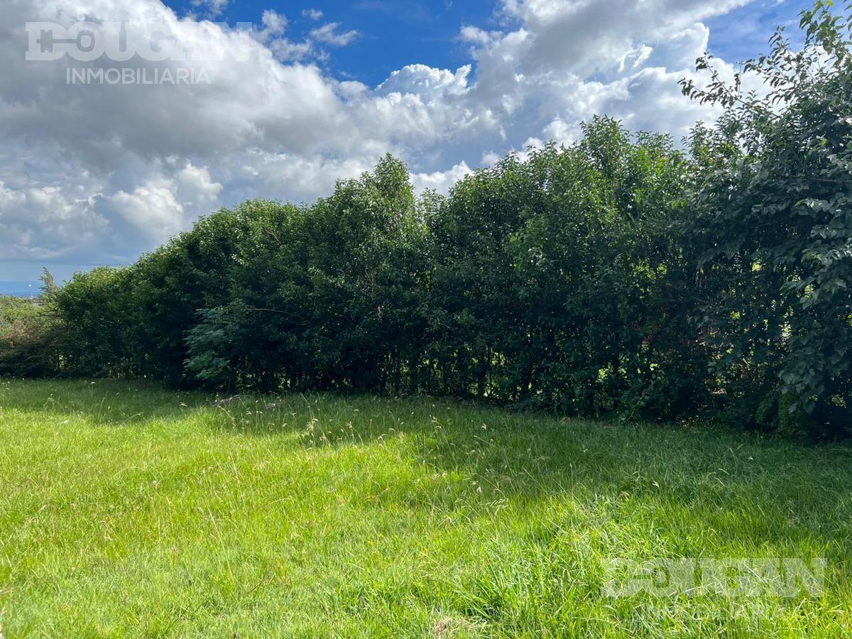 Foto de Terreno en Venta - Rincón del Este, imagen 4