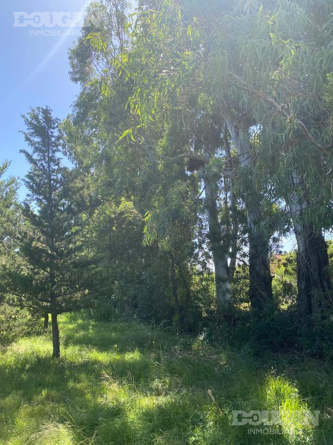 Foto de Terreno en Venta - Rincón Del Este, imagen 4