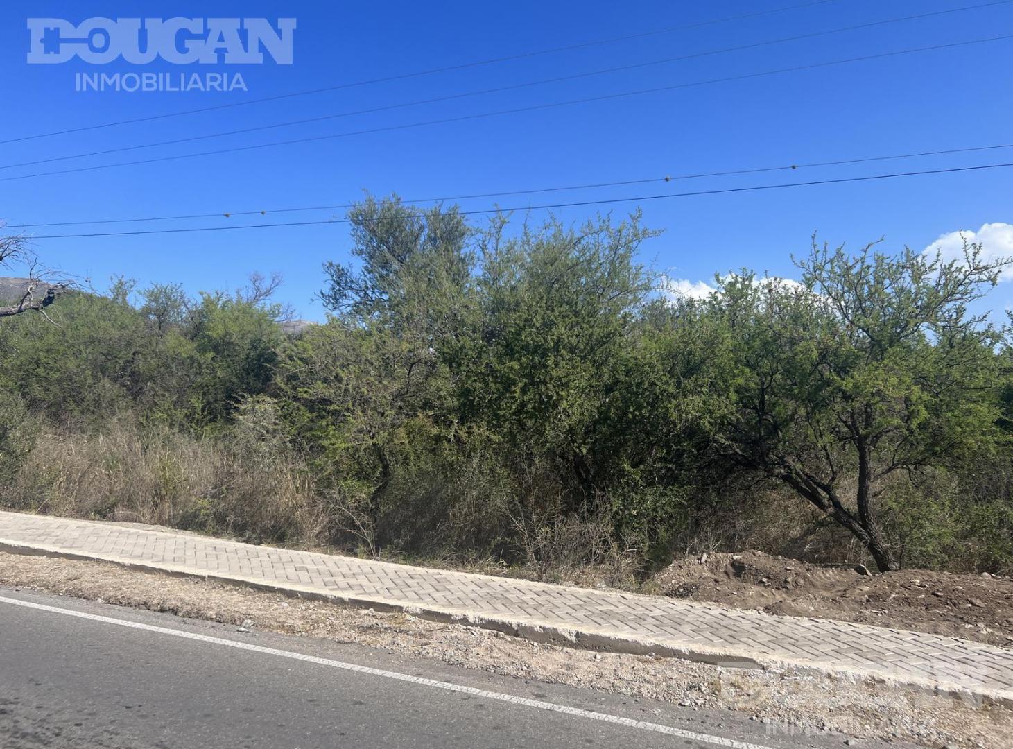 Foto de Parcela de 3500 metros cuadrados - Zona alta de Carpinteria, imagen 4