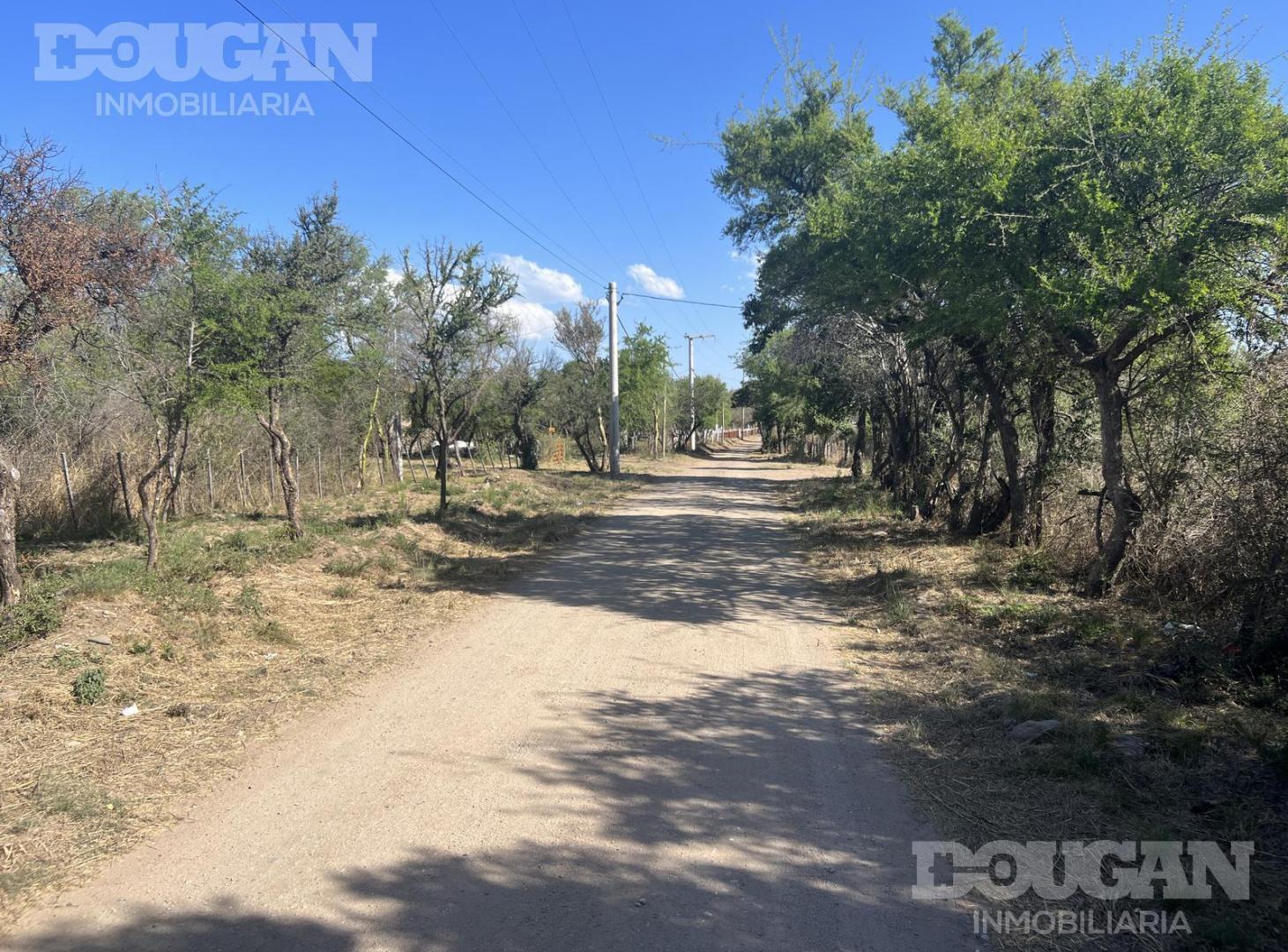 Foto de Terreno en Carpintería, imagen 4