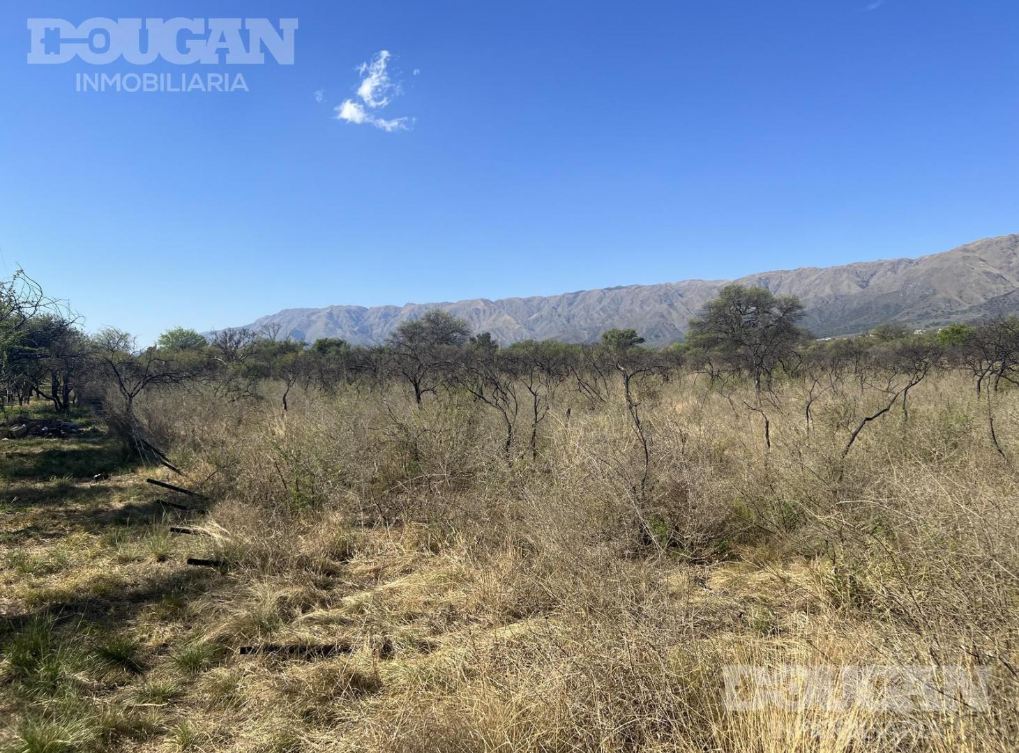 Foto de Terreno en Carpintería, imagen 5