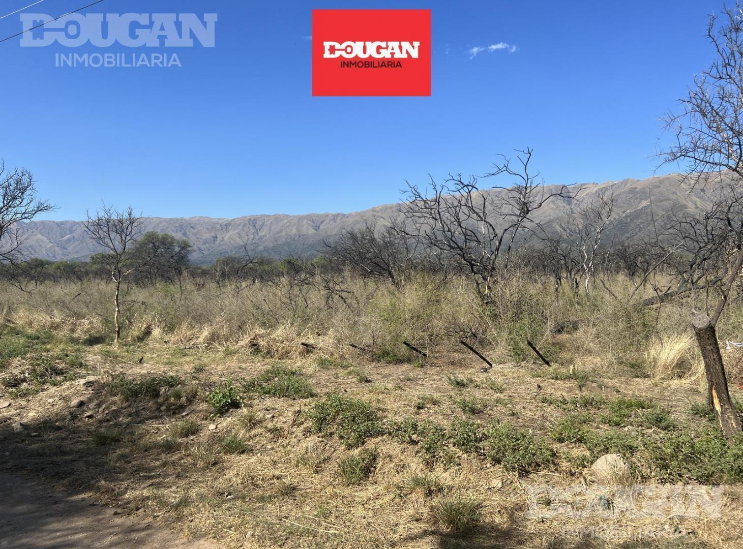 Foto de Terreno en Carpintería, imagen 1
