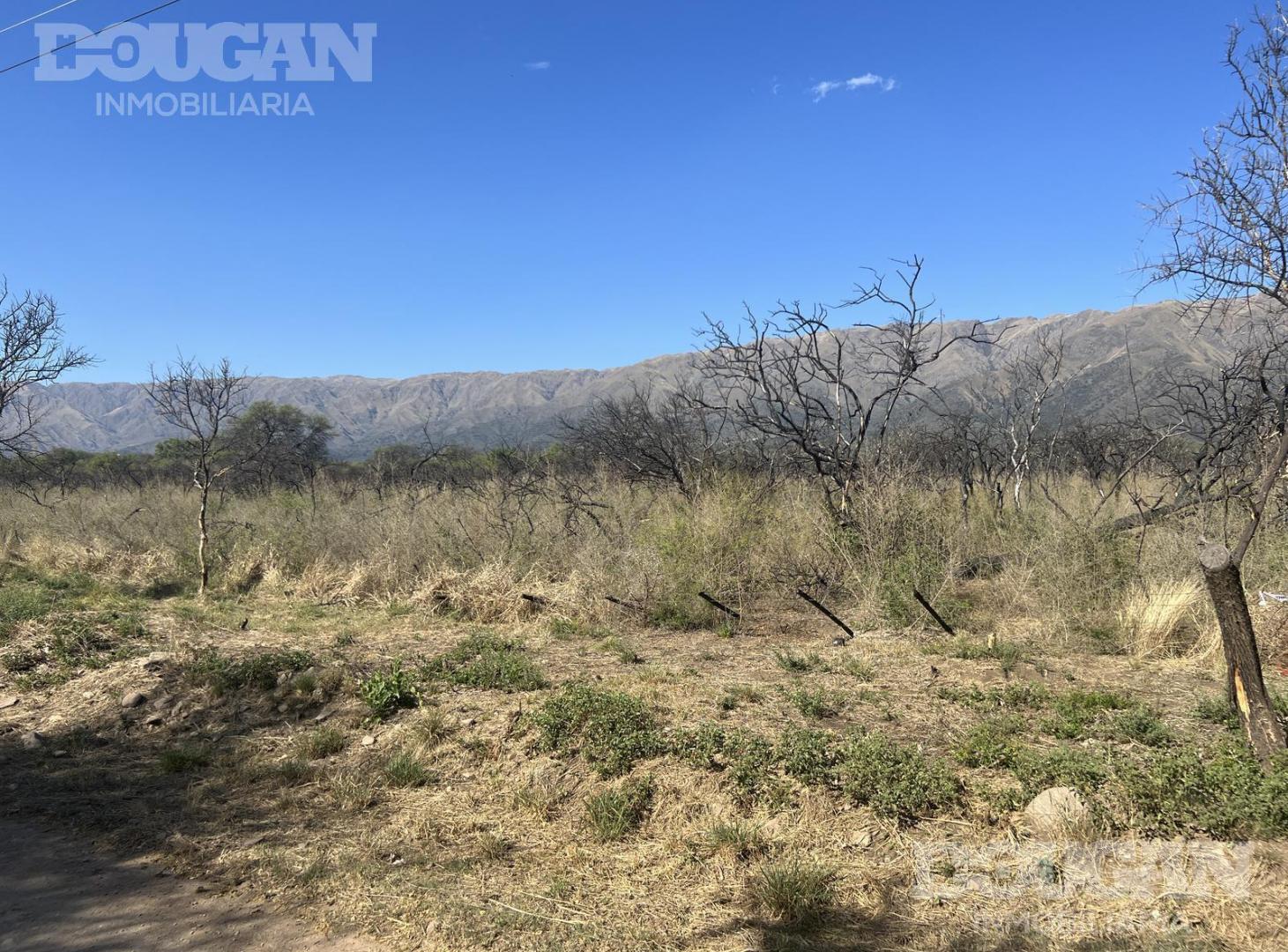 Foto de Terreno en Carpintería, imagen 2