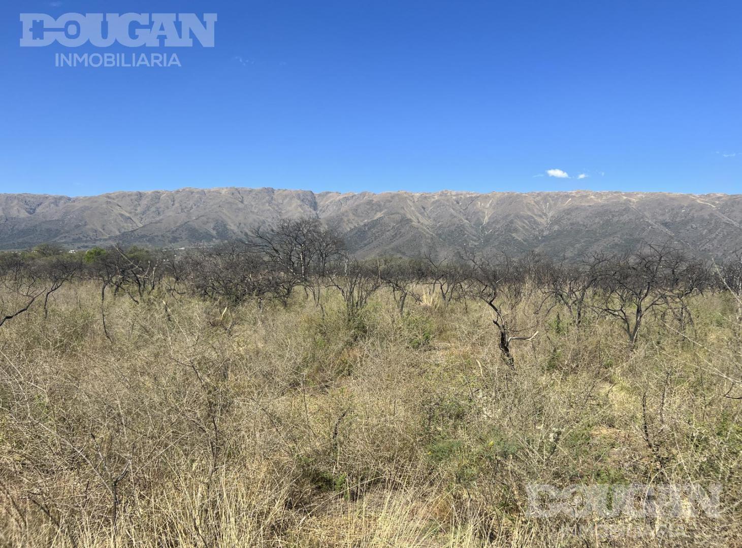 Foto de Terreno en Carpintería, imagen 3