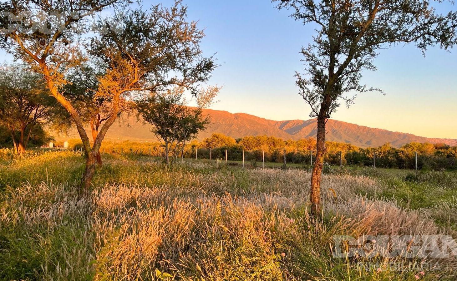 Foto de Terrenos con vegetación autóctona y vista a las sierras - La Aurelia, imagen 2
