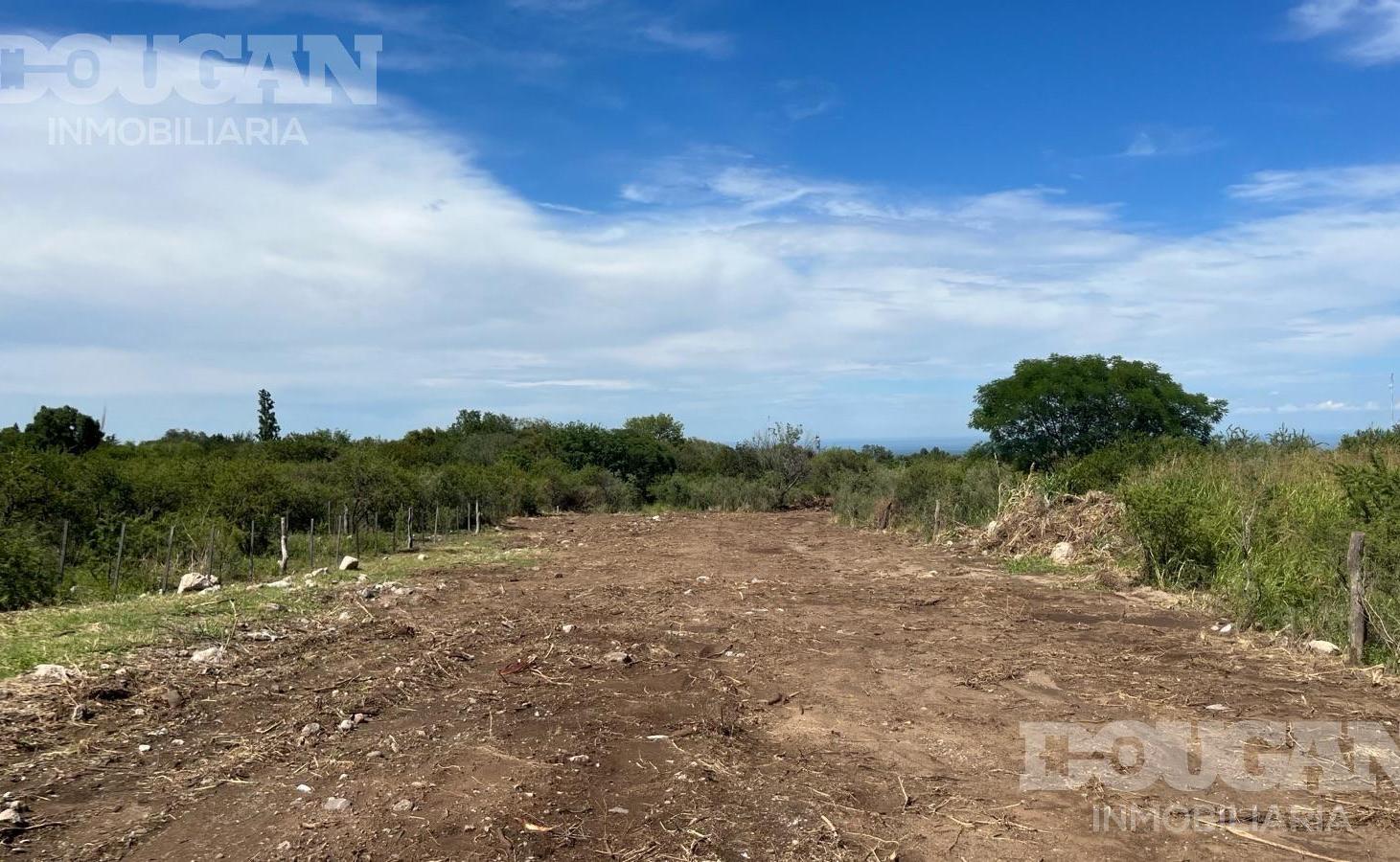 Foto de Pre-venta / Terreno en Merlo San Luis, imagen 4