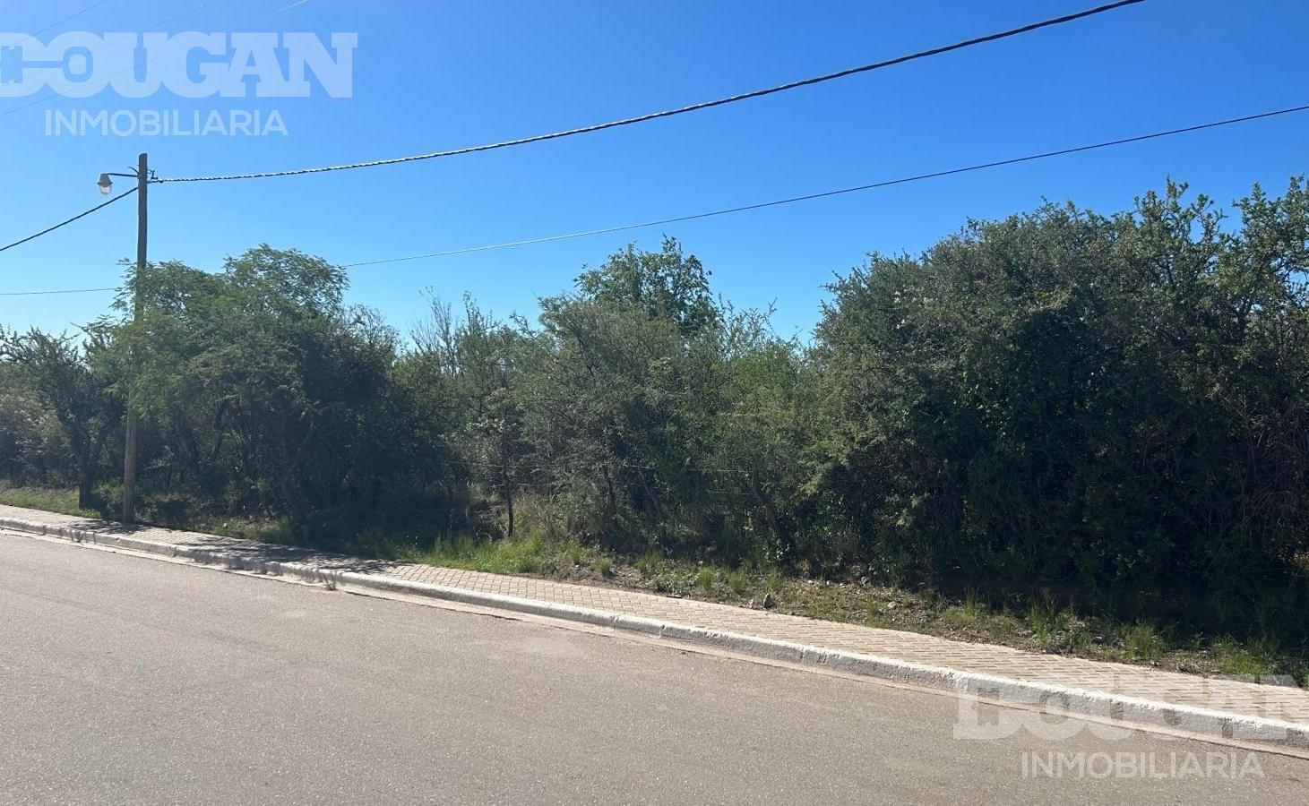 Foto de Terreno en venta / Carpintería - San Luis, imagen 5