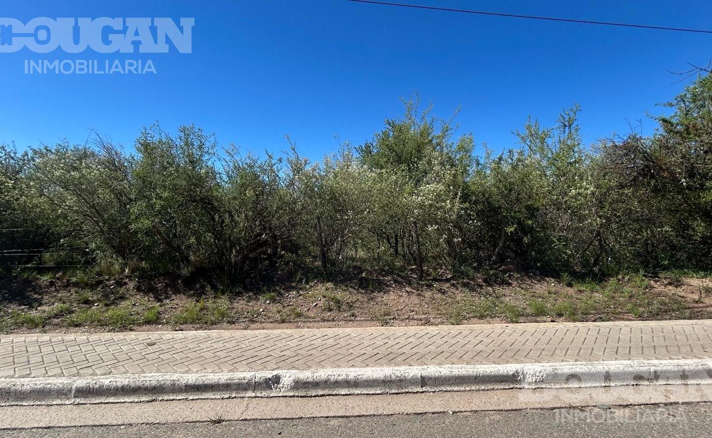 Foto de Terreno en venta / Carpintería - San Luis, imagen 4