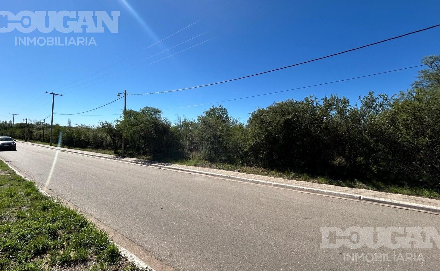 Foto de Terreno en venta / Carpintería - San Luis, imagen 3
