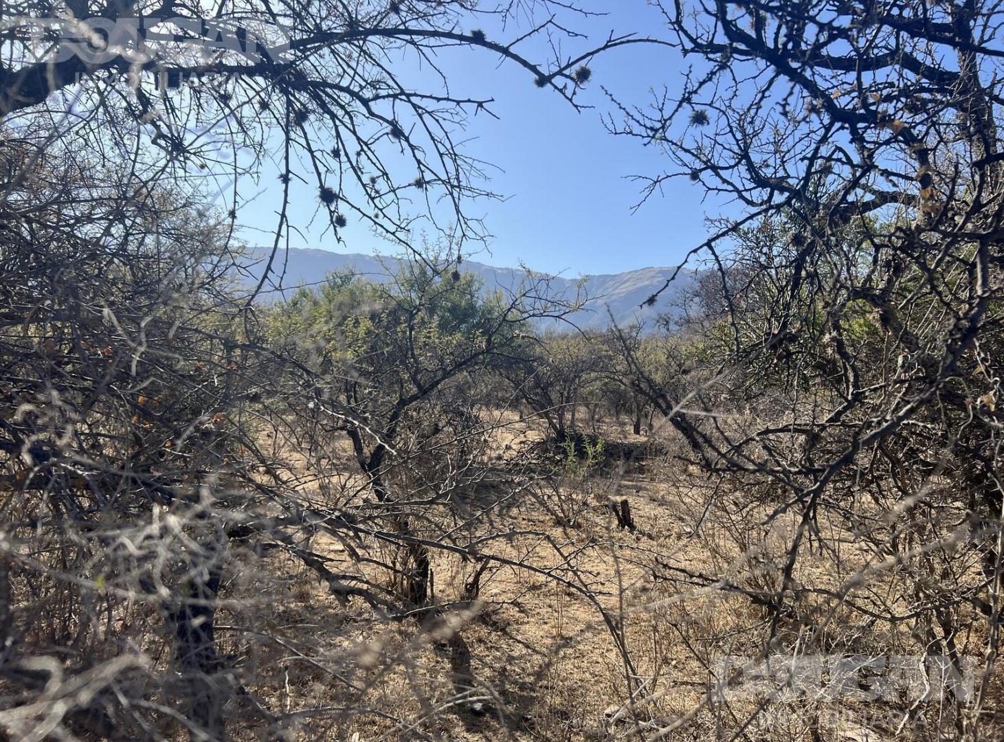 Foto de Terreno en venta, imagen 5
