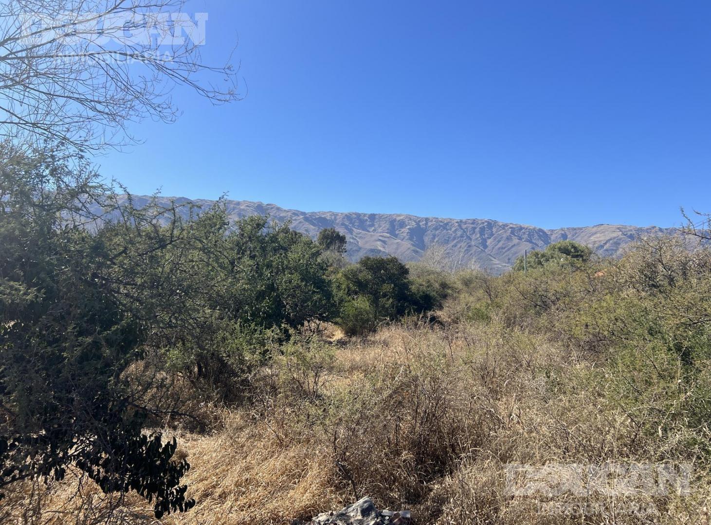 Foto de Terreno en venta - A Tres Cuadras de Avenida del Sol, imagen 2